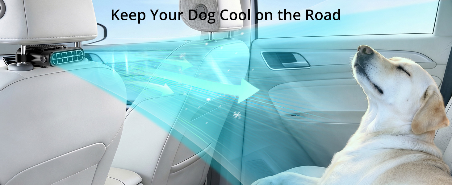 car fan for dog